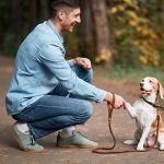 Tips to Train Your Pet