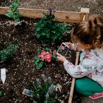 7 Frugal Gardening Tips and Tricks