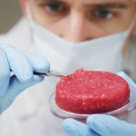 Lab–grown and plant–based meat: the science, psychology and future of meat alternatives