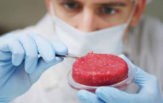 Lab–grown and plant–based meat science psychology and future of meat alternatives