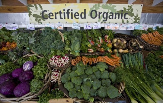 Organic food has become mainstream but still has room to grow