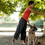 3 Ways to Live a More Sustainable Life with Your Pet